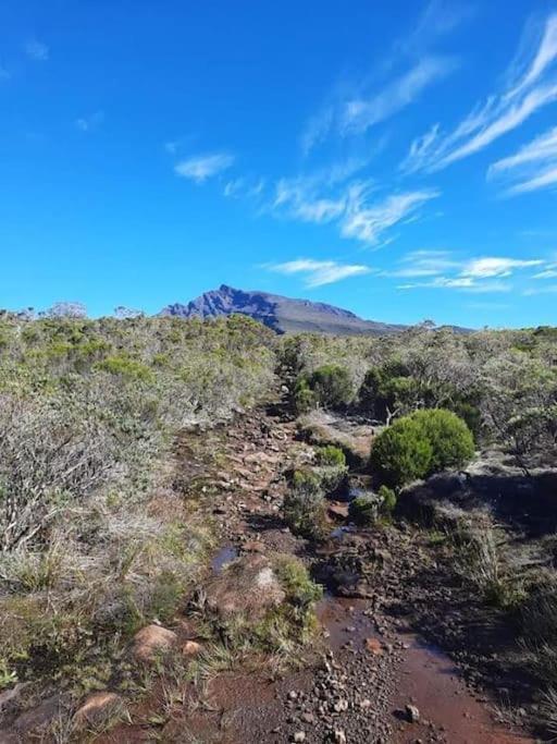 לה פלן דה קפרה Maison A Bourg- Murat Proche De La Cite Du Volcan מראה חיצוני תמונה